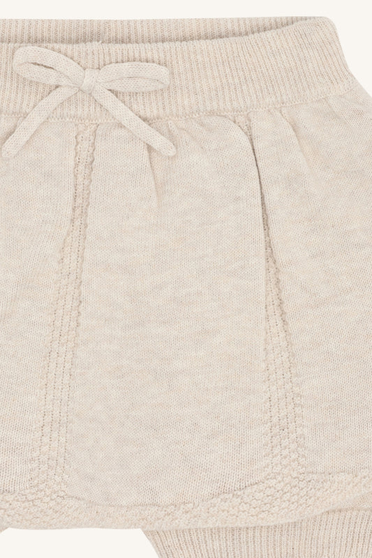 HCHolli garden - Color 1262