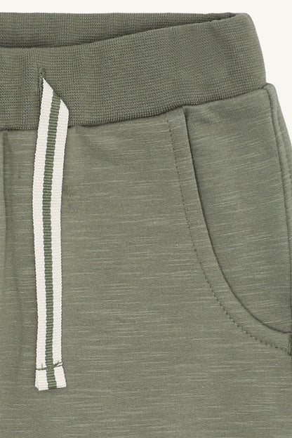 HCGeorgey Solid - Color 3919