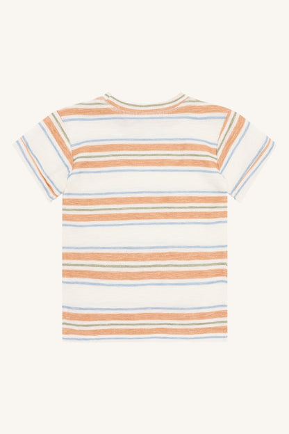 HCAnton Loop  Stripe - Color 3270